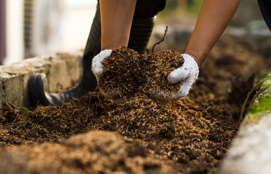 How to Compost Your Home Compostable Packaging