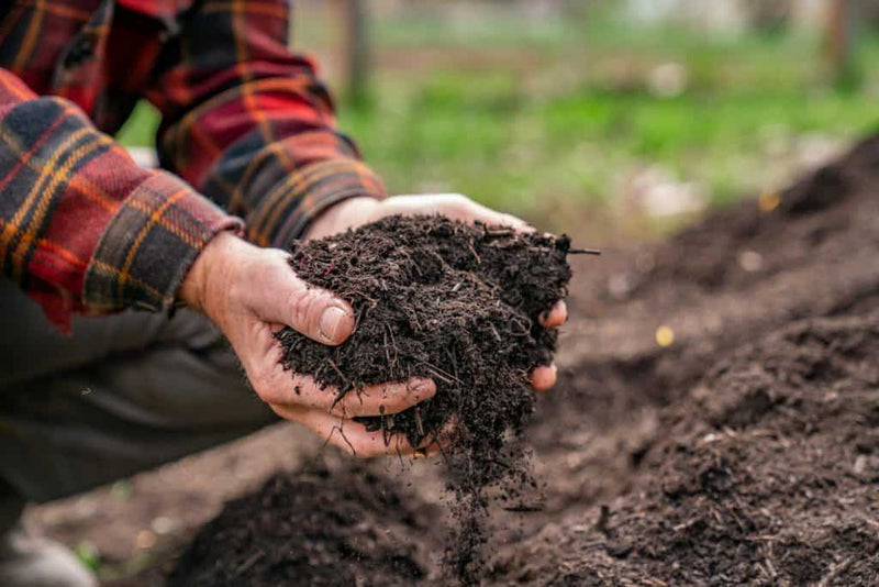 How to Compost Your Packaging